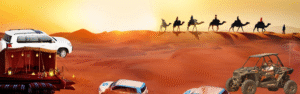 Private Standard Desert Safari