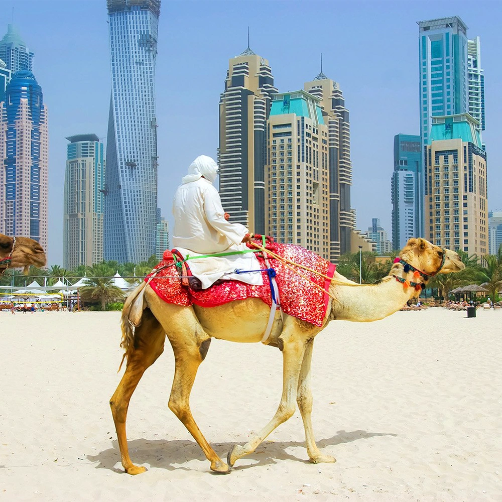 Camel-Ride-Dubai-1